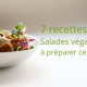 recettes salades vegan